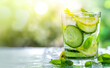 Summer Refresh: Lemon Cucumber Mint Infused Water