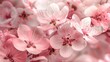 A close up of a bunch of pink flowers with a soft pink background