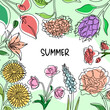 Summer background. Square poster, social media post template, frame with space for text. Various flowers and leaves, blooming plants., hand drawn botanical elements isolated. Vector illustration