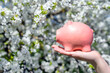 Girl holding piggy Bank against the background of blossoming cherry
