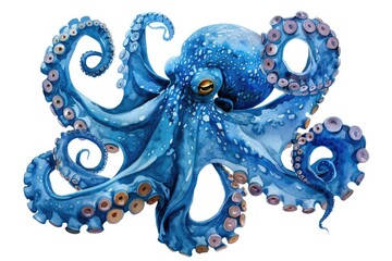 An octopus painting on a white background, perfect for marine themes