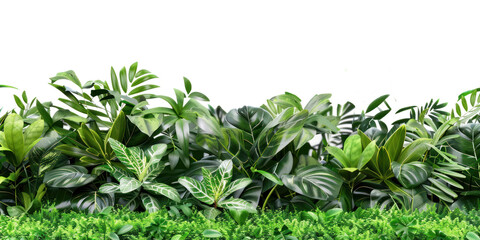 Green grass with tropical plants on transparent background. Cutout mockup.