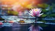A water lily flower on a blurred background