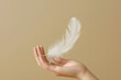 White feather in hand on beige background. Closeup