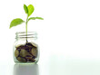plant growing out of coins in glass jar with filter effect retro vintage style