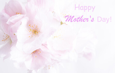 Naklejka na meble Text Happy mother's day. floral flat lay from cream ranunculus on a soft blue background. Top view. greeting card