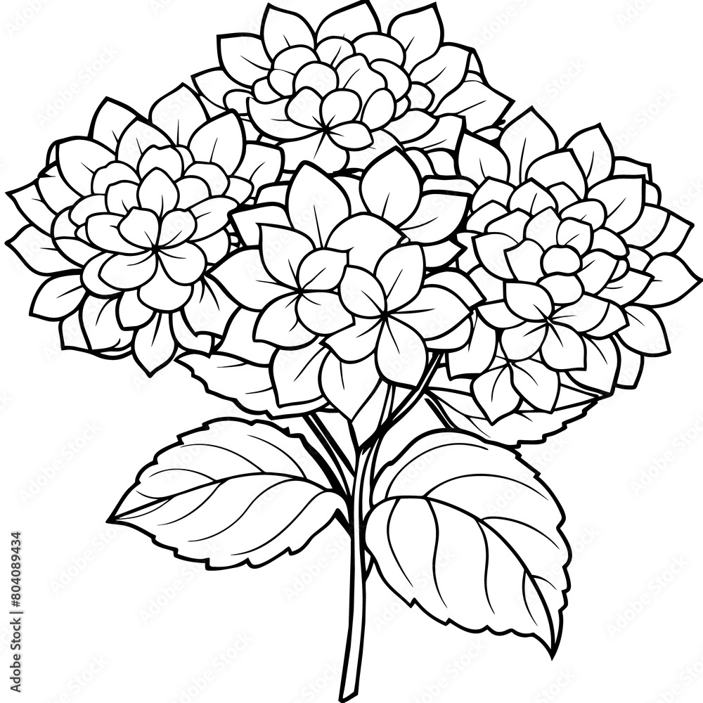 Hydrangea Flower Bouquet outline illustration coloring book page design ...