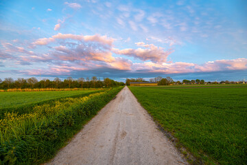 Wall Mural - Road leading to colored clouds in the distance