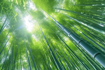 Wall Mural - Bamboo forest. Nature background