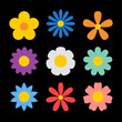 Spring flower set. Colorful flowers collection. Gerbera, sun flower, chrysanthemum, daisy chamomile daffodil. Growing concept. Fresh blooming elements. Flat design. Isolated Black background. Vector