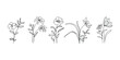 minimal botanical summer graphic sketch line art drawing, trendy tiny tattoo design, leaf elements vector illustration