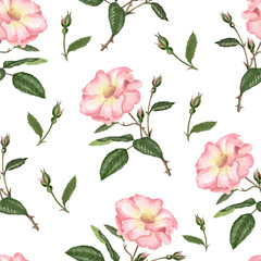 Watercolor seamless pattern with rosehip, Brier leaves and branches.