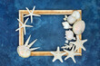 Seashell abstract with white shells on mottled blue background with gold frame. Nature design with exotic and tropical varieties.
