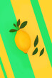 Lemon citrus fruit healthy food abstract design on striped green yellow abstract background. High in bio flavonoids, antioxidants, vitamin c. Dieting and immune system boost.