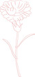 Line art of carnation flower for Mother's Day design element object.