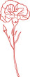 Line art of carnation flower for Mother's Day design element object.