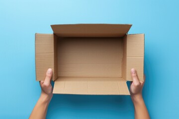 Wall Mural - Hands holding an open cardboard box on blue background.