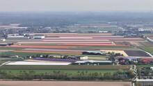 Aerial Trucking Pan Establishes Flower Gardens Of Lisse Netherlands