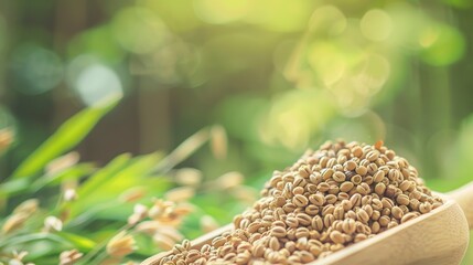 Wall Mural - Close-up of biofuel grains in a wooden scoop, blurred green background, representing alternative energy resources.