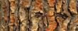 Tree bark texture, seamless pattern background