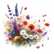 bouquet of wild flowers on white