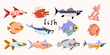 Cute collection of 12 different fish in flat style. Vector set of design elements for print, illustration, postcards