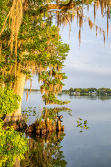 Canvas Print - winter park, florida