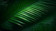 © Ian - closeup nature view of green leaf and palms background. Flat lay, dark nature concept, tropical leaf