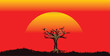 Amazing sunset and sunrise.Panorama silhouette tree in africa with sunset.Safari theme.
