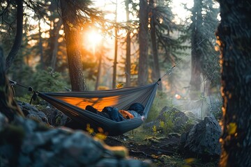 Poster - a hammock hanging in a forest with the sun shining through the trees