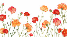 Red And Orange Carnation Background