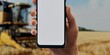 Hand with smartphone in wheat field, perfect for agricultural tech promotions
