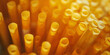 raw spaghetti on a light background close up An image of a nice abstract lines background. Abstract line colorful background.

