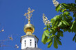 Golden dome of the Orthodox Church with a cross and flowering chestnuts against the blue sky. Christian temple in spring