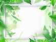 A green background of plant leaves with a white border on top. A light plant with highlights of light. Modern eco-friendly background, postcard