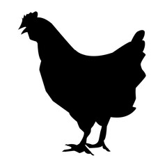 Chicken black vector silhouette