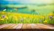 beautiful spring green meadow background with empty wooden table for product display