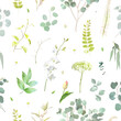 Summer garden greenery print with leaves and wildflowers. Orchid flower, tulip, eucalyptus, herbs and plants. Botanical pattern design. Seamless vector pattern. Simple backdrop on white background