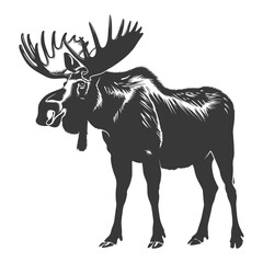 Wall Mural - silhouette moose animal full body black color only