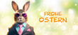 witziger Osterhase im Business Anzug mit rosa Sonnenbrille vor Frühling frischen hell grünen Hintergrund, Vorlage zu Ostern Grüße mit Schriftzug 