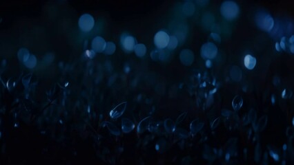 cluster of tiny blue lights against a dark, out-of-focus background. The lights are glowing brightly, creating a mesmerizing effect. The background is a deep navy blue, with no visible details.