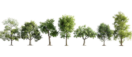 Wall Mural - Trees isolated on white PNG transparent background