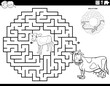maze game with cartoon calf and cow coloring page