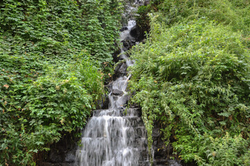 A waterfall flows down the mountain among green plants.