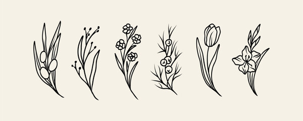 Wall Mural - Line art flowers and branches collection