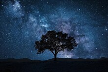 Celestial Sentinel Lone Tree Silhouetted Against A Starry Expanse Night Sky Landscape