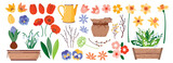 Fototapeta  - A set of spring field and garden flowers with leaves. Spring primroses are lilies of the valley, tulips, daffodils and flower garden pots. Flowers, leaves, buds of primroses. Vector illustration.