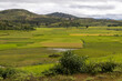 Reisfelder in der madegassischen Region Haute Matsiatra