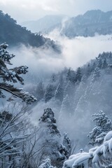 Wall Mural - Winter Wonderland: Majestic Scenery of Snowy Mountains, Foggy Forests, and Serene Landscapes