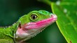 Green Anole Lizard Showing Off Bright Pink Dewlap in Closeup. Eye-catching Wildlife in Garden